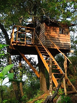 treehouseSM.jpg